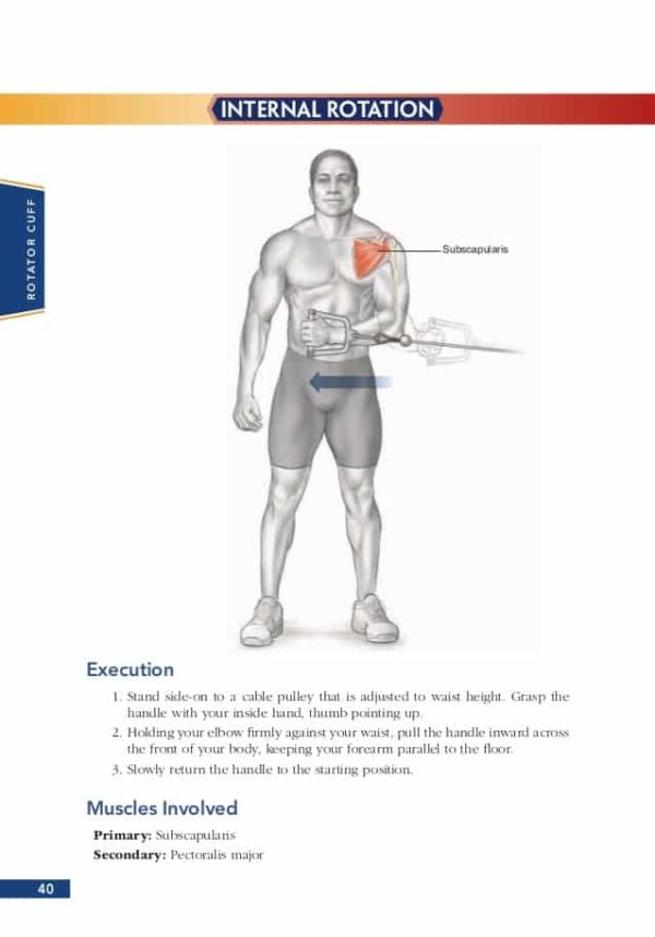BodyBuilding Anatomy Book Review - Sand and Steel Fitness
