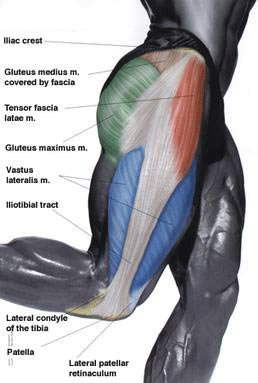 IT Bands, Hip Thruster, and the Glutes - CrossFit Sand & Steel