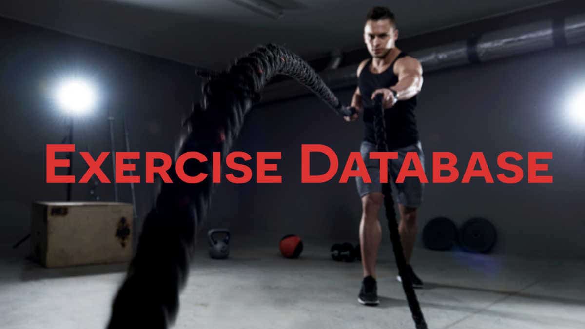 Exercise Database