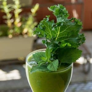 Green Smoothie Detox FAQ Removing Toxins