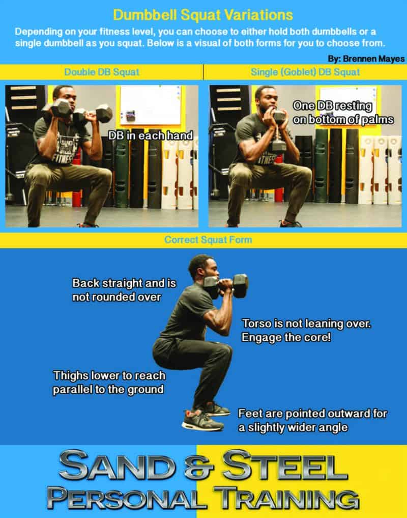 Dumbbell Squat Infographic