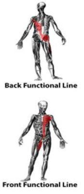 Functional Back Line Exercise Designing Beginner Workout Plans - CrossFit Sand & Steel
