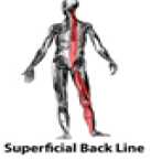 Superficial Backline