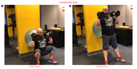 Dumbbell Swiss Ball Wall Squat - Wrist Pain