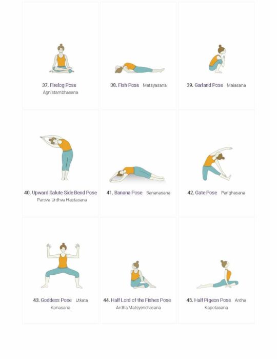 Yoga Alexandria Alignment 88 Class