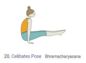 Celibates Pose Bhramacharyasana