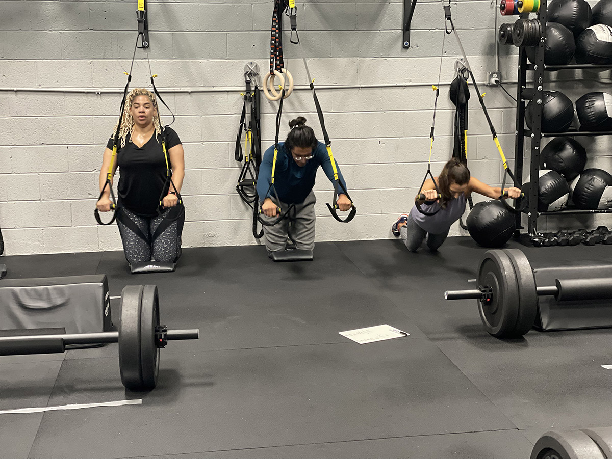 TRX Suspension Trainer