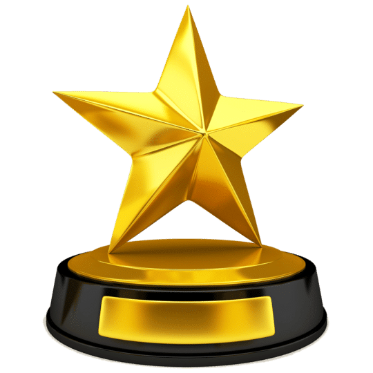 Iron Star Gold Award