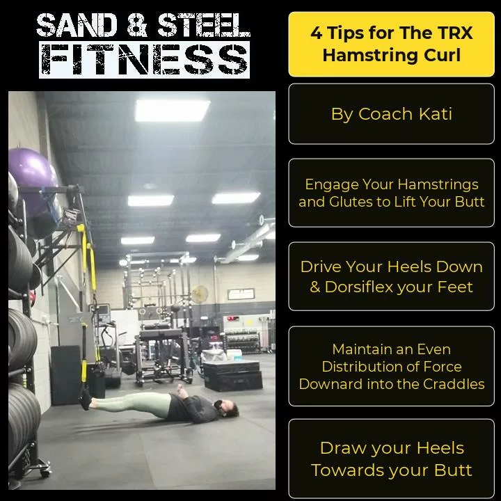 TRX Hamstring Curl Technique Infographic