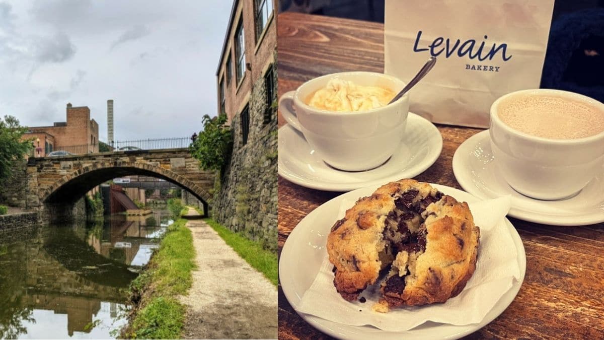 Georgetown Loop Trail Run Levain Bakery